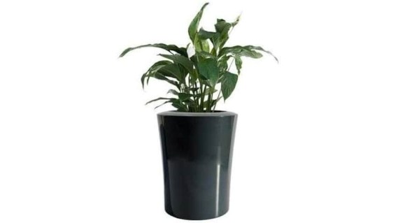 garafia-donica-kama-01